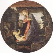 Madonna in Adoration of the Christ Child (mk36) Botticelli